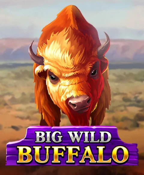 Play Big Wild Buffalo at Rio Bet Casino